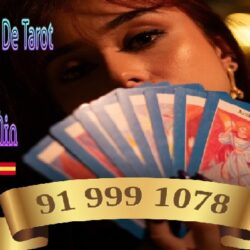 4b876ac53609fd47a52ca1a8dea69e63