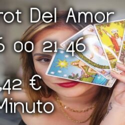 21eec9ea679bfe265267ff4ec0d5e566