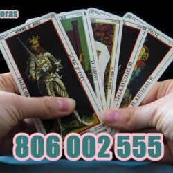 806002555 (5)