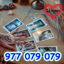 977079079 (3)