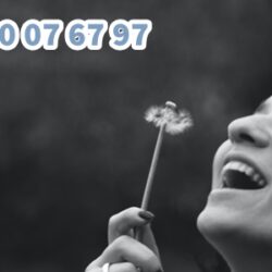 91076797 (17)