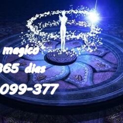 972 (40)