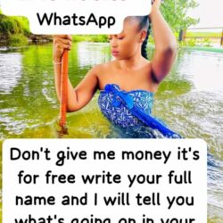 Thokoza gogo