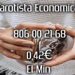 9e7a7ab29ebb2a58a7bce07f902576a8