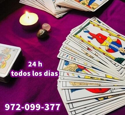 972 (43) 972 (43)