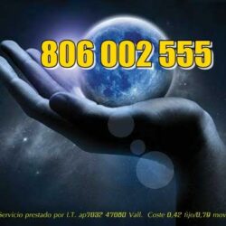 806002555 (7)