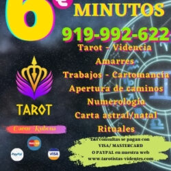 0-tarot-a-tan-solo-6-euros-1786060115-6a751d53600e8