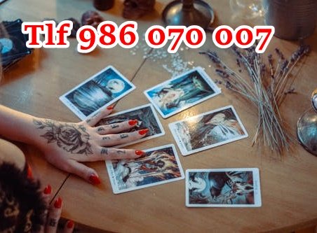 986070007 (3)