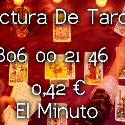 0c67e6c8-1f1b-4cf2-9ee3-c1ec0761ea89_16-9-discover-aspect-ratio_default_0