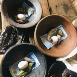 The Best Powerful SpirItual Herbalist Native Doctor.