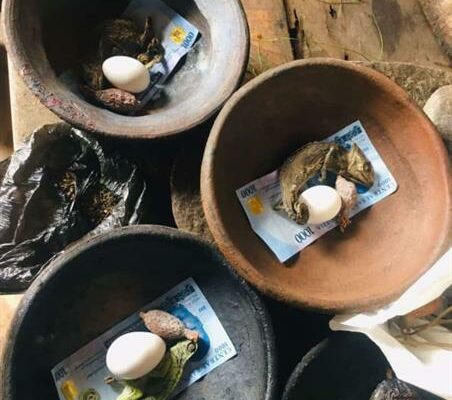 The Best Powerful SpirItual Herbalist Native Doctor.