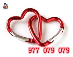 977079079 (10)