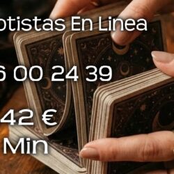 99c63498432478053ce95f5a560d7f8f