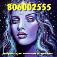 806002555 (8) 806002555 (8)