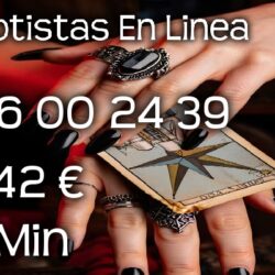 0814adeb5467cba24601ad8310f28a10