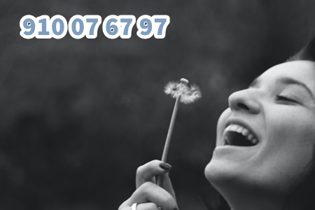 91076797 (17) 91076797 (17)