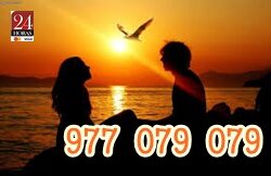 977079079 (19)