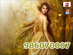 986070007 (5) 986070007 (5)