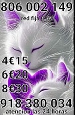f4 f4